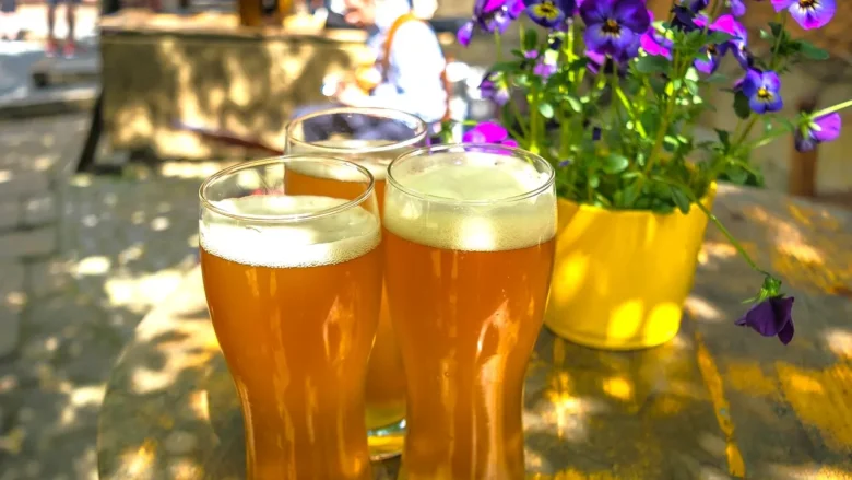 渋谷の貸切イベントスペースなら『渋谷ガーデンスペース道玄坂店』。ケータリングや飲み放題などがついて無料オプションも盛りだくさん!